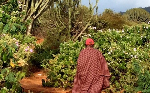 Kenya…the Masai and a walk back in time:)